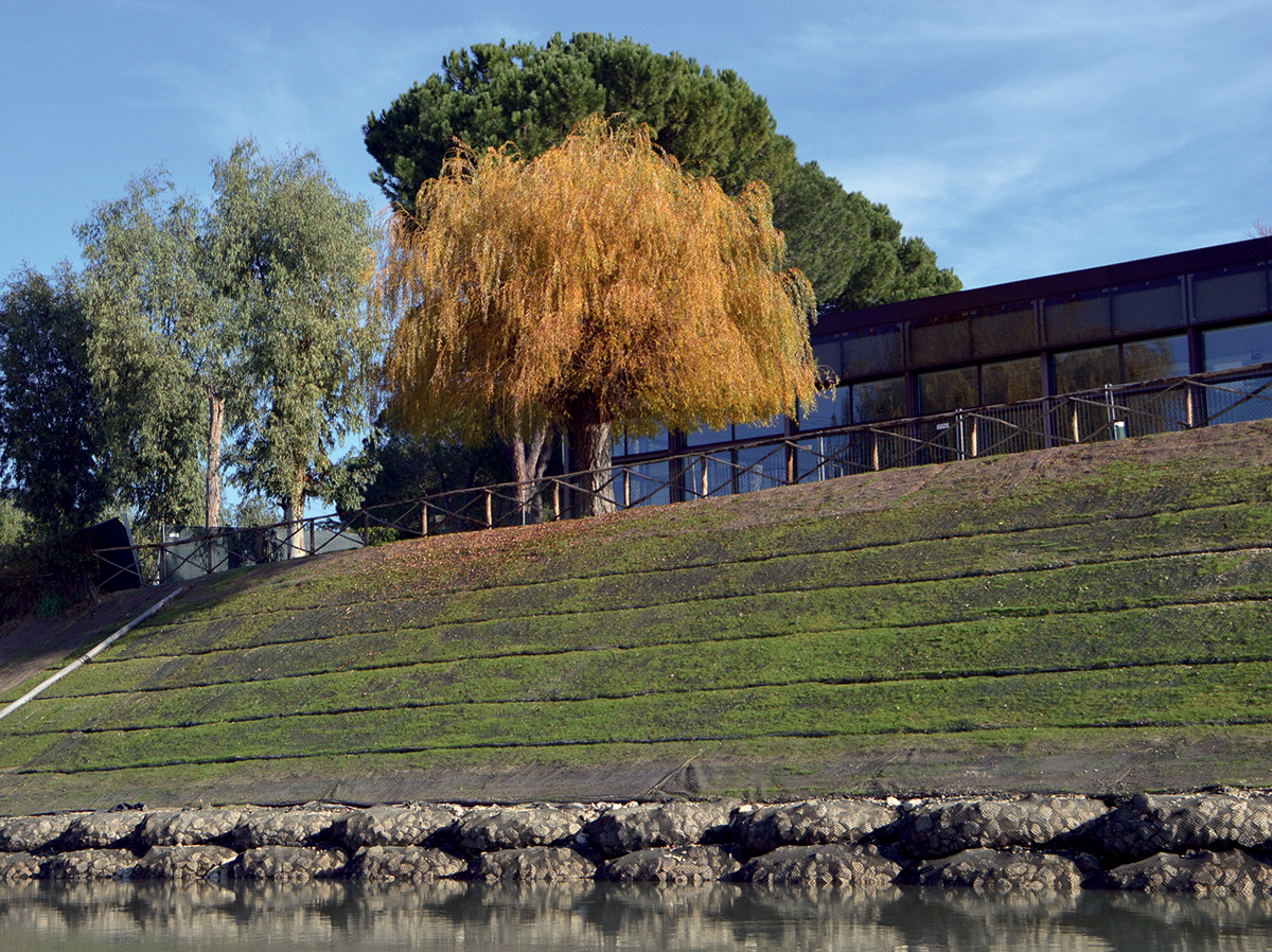 Argini in terra rinforzata e con protezione al piede, fiume Tevere, Roma (RM)