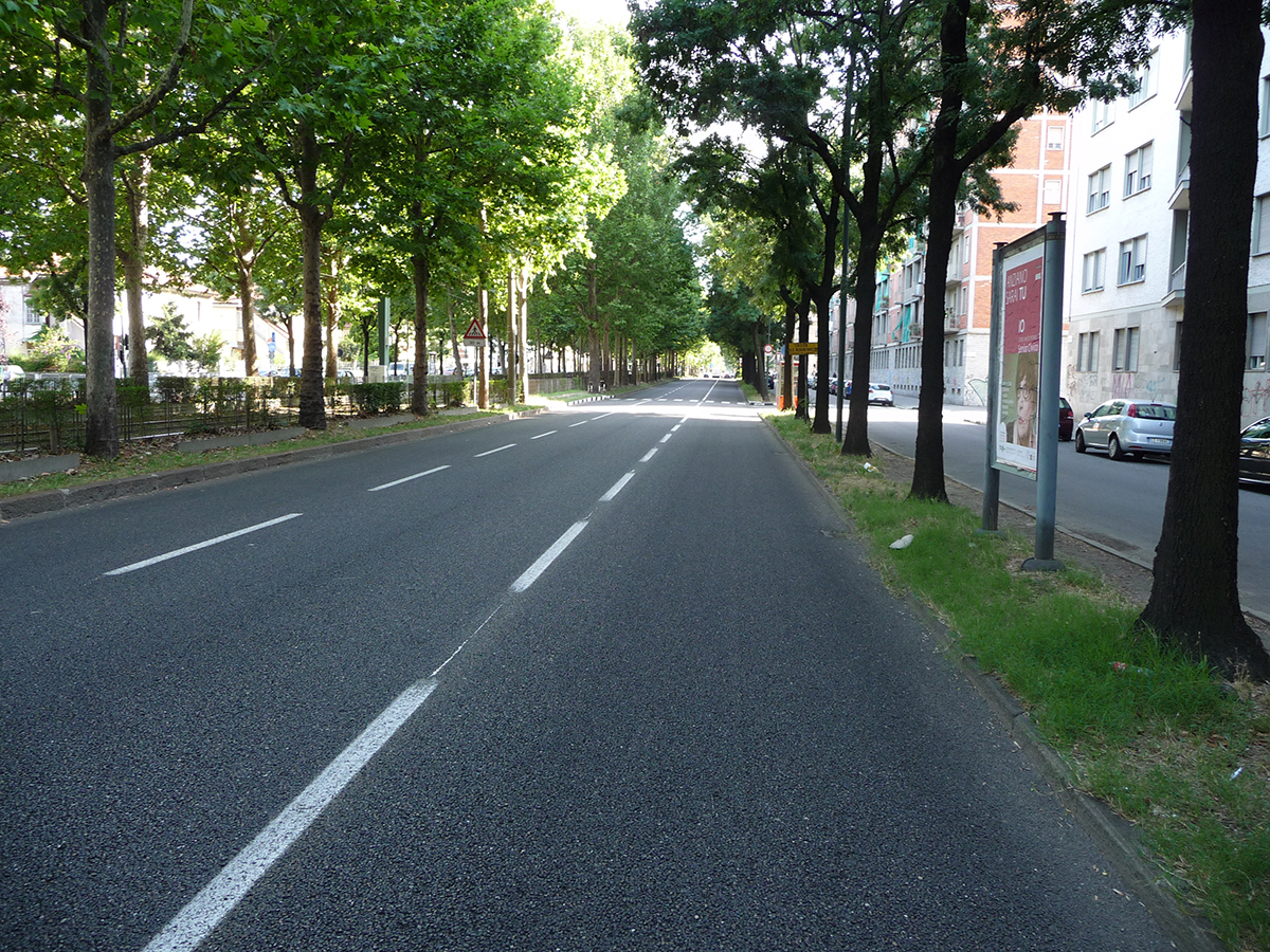 Ripristino e rinforzo della pavimentazione stradale mediante l’uso di geogriglie, Torino (TO)